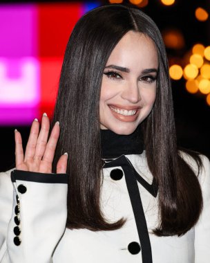 Sofya Carson (2025 SAG Ödülleri Büyükelçisi), 20 Şubat 2025 'te ABD' nin Kaliforniya eyaletinin Los Angeles kentinde düzenlenen 31..