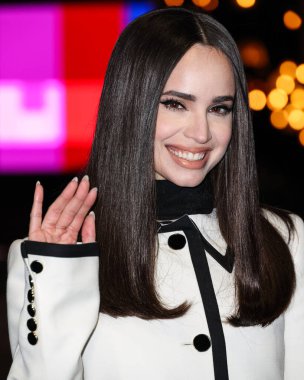 Sofya Carson (2025 SAG Ödülleri Büyükelçisi), 20 Şubat 2025 'te ABD' nin Kaliforniya eyaletinin Los Angeles kentinde düzenlenen 31..