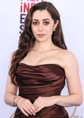 Danielle Frankel elbisesi ve Nouvel Heritage mücevheri giyen Cristin Milioti, 22 Şubat 2025 'te Santa Monica Plajı' nda düzenlenen 40. Yıllık Bağımsız Film Ödülleri 'ne ulaştı..  