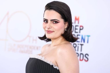 Nava Mau, Tanner Fletcher elbisesi, Roger Vivier çantası ve Marc Jacobs ayakkabıları ile 22 Şubat 2025 'te Santa Monica, Los Angeles, Kaliforniya' da düzenlenen 40.