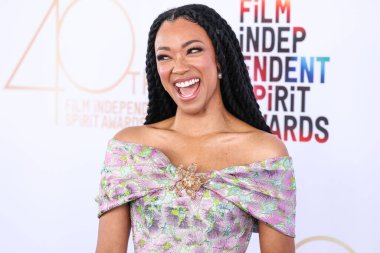 Sonequa Martin-Green Khoon Hooi elbisesi giyiyor ve tansiyon düşüyor. De Silva küpeleri, Santa Monica Plajı 'nda 22 Şubat 2025' te düzenlenen 40. Yıllık Bağımsız Film Ödülleri 'ne geliyor.. 