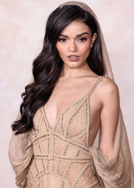 Disney, Rachel Zegler ve Gal Gadot tartışmalarının ortasında Pamuk Prenses 'in Hollywood galasını geride bıraktı. HOLYWOOD, LOS ANGELES, CALIFORNIA, ABD - 13 Kasım: Amerikalı aktris ve şarkıcı Rachel Zegler Elie Saab Couture elbisesi giyiyor          