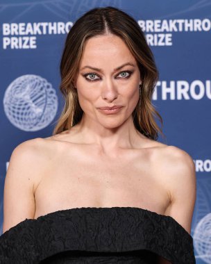 Erdem FW25 RTW ve Jennifer Meyer mücevherlerini takan Olivia Wilde, 5 Nisan 2025 tarihinde Santa Monica, Los Angeles, Kaliforniya, ABD 'de Barker Hangar' da düzenlenen 11.. 