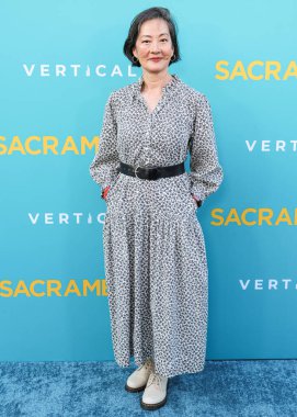 Amerikalı aktris Rosalind Chao, 7 Nisan 2025 'te Los Angeles, Kaliforniya, ABD' deki Vista Tiyatrosu 'nda düzenlenen Dikey Eğlence' nin Sacramento özel gösterimine geldi..