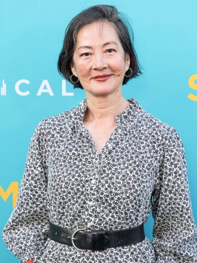 Amerikalı aktris Rosalind Chao, 7 Nisan 2025 'te Los Angeles, Kaliforniya, ABD' deki Vista Tiyatrosu 'nda düzenlenen Dikey Eğlence' nin Sacramento özel gösterimine geldi..