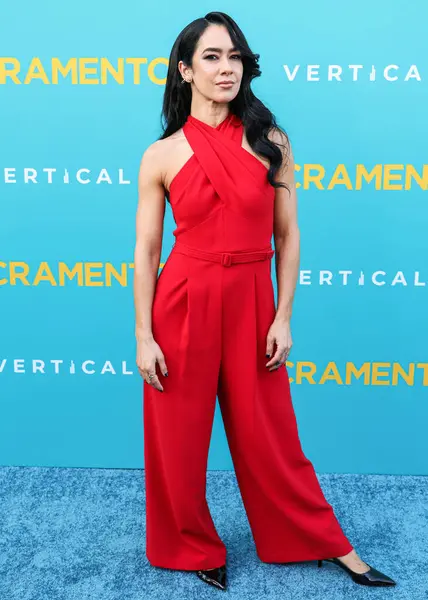 Amerikalı yazar ve senarist AJ Mendez, 7 Nisan 2025 'te Los Angeles, Kaliforniya, ABD' deki Vista Tiyatrosu 'nda düzenlenen Dikey Eğlence' nin Sacramento 'sunun Los Angeles Özel Gösterimi' ne geldi.. 