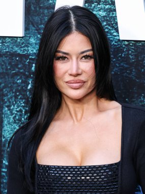 Kim Lee, 16 Nisan 2025 'te Hollywood, Los Angeles, Kaliforniya, ABD' deki TCL Çin Tiyatrosu IMAX 'te düzenlenen' The Accountant 2 'adlı Amazon MGM Stüdyolarının Los Angeles prömiyerine geldi. (P