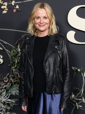 Amerikalı aktris ve komedyen Amy Poehler, Netflix 'in 