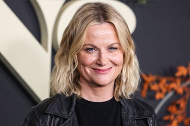 Amerikalı aktris ve komedyen Amy Poehler, Netflix 'in 