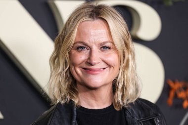 Amerikalı aktris ve komedyen Amy Poehler, Netflix 'in 