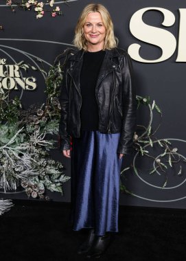 Amerikalı aktris ve komedyen Amy Poehler, Netflix 'in 