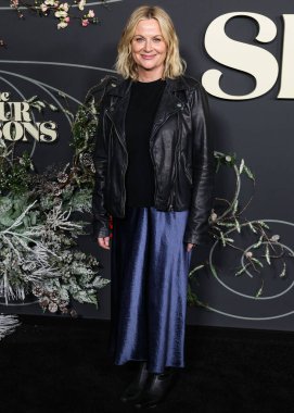 Amerikalı aktris ve komedyen Amy Poehler, Netflix 'in 