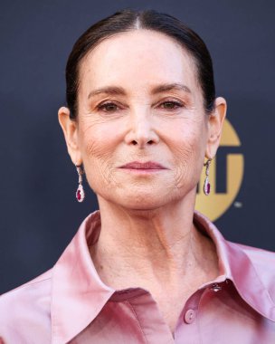 Lisa Hoffman 'ın Amerikalı iş kadını, kurucusu ve başkanı Lisa Hoffman, 26 Nisan 2025' te Dolby Tiyatrosu 'nda düzenlenen 50. yıllık AFI (Amerikan Film Enstitüsü) Yaşam Boyu Başarı Ödülü' ne ulaştı. 