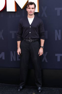 Corey Mylchreest Netflix Tudum 2025 'e ulaşır: 31 Mayıs 2025' te Inglewood, Los Angeles, Kaliforniya, ABD 'de düzenlenen canlı etkinlik.        