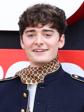 Noah Schnapp Netflix Tudum 2025 'e ulaşır: 31 Mayıs 2025' te Inglewood, Los Angeles, Kaliforniya, ABD 'de düzenlenen canlı etkinlik.