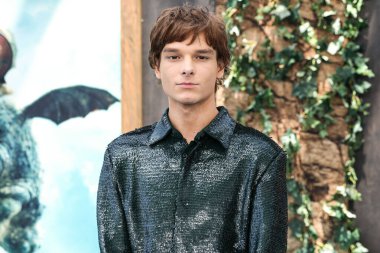 Amerikalı aktör Mason Thames, Los Angeles Universal Pictures and DreamWorks Animasyon 'un 7 Haziran 2025' te AMMP 'deki David Geffen Tiyatrosu' nda gerçekleştirilen 