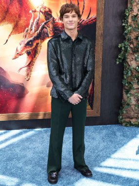 Amerikalı aktör Mason Thames, Los Angeles Universal Pictures and DreamWorks Animasyon 'un 7 Haziran 2025' te AMMP 'deki David Geffen Tiyatrosu' nda gerçekleştirilen 