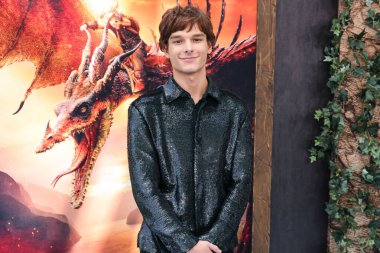 Amerikalı aktör Mason Thames, Los Angeles Universal Pictures and DreamWorks Animasyon 'un 7 Haziran 2025' te AMMP 'deki David Geffen Tiyatrosu' nda gerçekleştirilen 