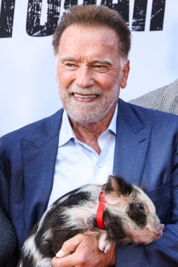 Avusturyalı ve Amerikalı aktör, eski Kaliforniya Valisi, iş adamı, eski politikacı ve eski profesyonel vücut geliştirici Arnold Schwarzenegger Netflix 'in' FUBAR 'Sezon 2 Los Angeles, Kaliforniya, ABD - 12 Haziran 2025.