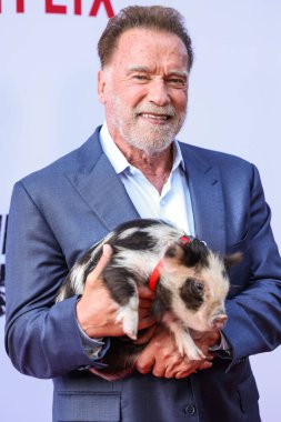 Avusturyalı ve Amerikalı aktör, eski Kaliforniya Valisi, iş adamı, eski politikacı ve eski profesyonel vücut geliştirici Arnold Schwarzenegger Netflix 'in' FUBAR 'Sezon 2 Los Angeles, Kaliforniya, ABD - 12 Haziran 2025.