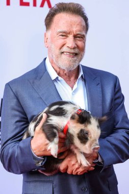 Avusturyalı ve Amerikalı aktör, eski Kaliforniya Valisi, iş adamı, eski politikacı ve eski profesyonel vücut geliştirici Arnold Schwarzenegger Netflix 'in' FUBAR 'Sezon 2 Los Angeles, Kaliforniya, ABD - 12 Haziran 2025.