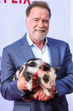 Avusturyalı ve Amerikalı aktör, eski Kaliforniya Valisi, iş adamı, eski politikacı ve eski profesyonel vücut geliştirici Arnold Schwarzenegger Netflix 'in' FUBAR 'Sezon 2 Los Angeles, Kaliforniya, ABD - 12 Haziran 2025.