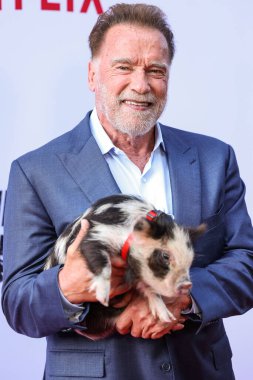 Avusturyalı ve Amerikalı aktör, eski Kaliforniya Valisi, iş adamı, eski politikacı ve eski profesyonel vücut geliştirici Arnold Schwarzenegger Netflix 'in' FUBAR 'Sezon 2 Los Angeles, Kaliforniya, ABD - 12 Haziran 2025.