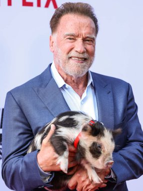 Avusturyalı ve Amerikalı aktör, eski Kaliforniya Valisi, iş adamı, eski politikacı ve eski profesyonel vücut geliştirici Arnold Schwarzenegger Netflix 'in' FUBAR 'Sezon 2 Los Angeles, Kaliforniya, ABD - 12 Haziran 2025.