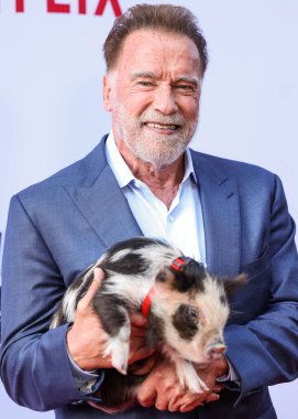 Avusturyalı ve Amerikalı aktör, eski Kaliforniya Valisi, iş adamı, eski politikacı ve eski profesyonel vücut geliştirici Arnold Schwarzenegger Netflix 'in' FUBAR 'Sezon 2 Los Angeles, Kaliforniya, ABD - 12 Haziran 2025.