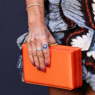 Amerikalı aktris Sarah Michelle Gellar 'ın çantası, 14 Temmuz 2025' te Los Angeles, Los Angeles 'taki StILE Downtown Los Angeles' taki United Theater 'da düzenlenen Columbia Pictures' ın Geçen Yaz Ne Yaptığını Biliyorum 'filminin galasına geldi..