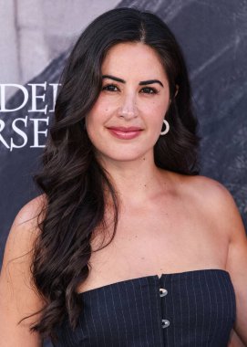 Michelle Lally, STARZ 'ın 