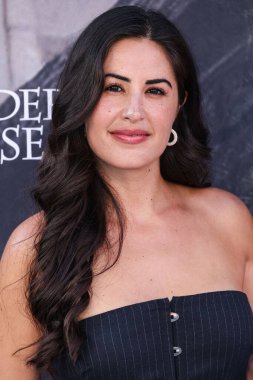 Michelle Lally, STARZ 'ın 