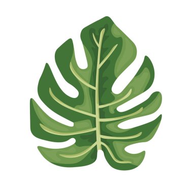 Canavar yaprağı. Vektör clipart, izole edilmiş arkaplan ile illüstrasyon.