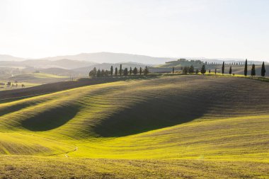 Tuscany 'nin yuvarlanan tepeleri günbatımı ışığıyla aydınlatılıyor. İtalya 'nın kırsal yolları boyunca uzanan uzak tepe villaları ve selvi ağaçları.