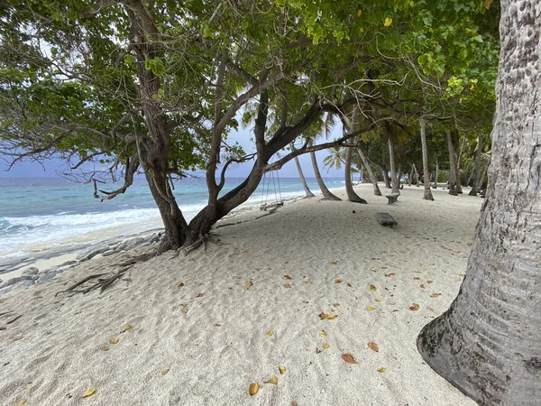 Thoondu Beach Tropiska Träd Scen Fuvahmulah Maldiverna Mars — Stockfoto