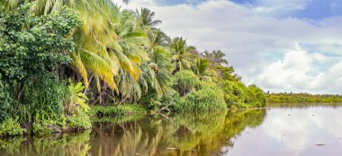 Fuvahmulah UNESCO Biyosfer Rezervi, Koda Kilhi, Maldivler 'deki orman ve gökyüzünün sakin görüntüsü su içinde yansıtılıyor.