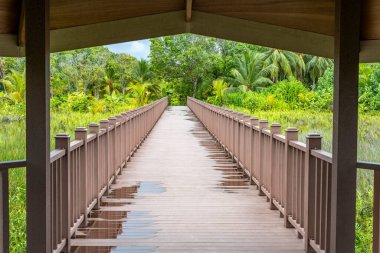 Fuvahmulah doğa parkındaki yemyeşil sulak araziler ve yağmur ormanları üzerine ahşap geçit, doğaya barışçıl bir kaçış sunuyor..