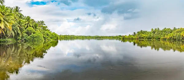 Panorama Espetacular Floresta Tropical Céu Espelhado Água Fuvahmulahs Reserva Biosfera Imagens De Bancos De Imagens