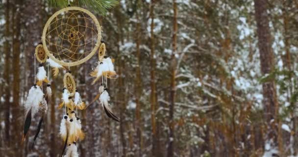 Indian Amulet Dreamcatcher Flutters Wind Backdrop Winter Forest 60Fps Footage — Stock Video