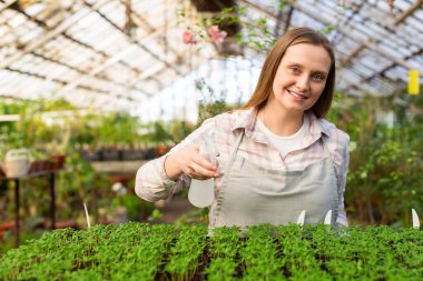 Serada fideleri sulayan gülümseyen genç bir kadın. Kameraya bakıyor ve gülümsüyor. Tohum ekerek hazırlık kavramı.