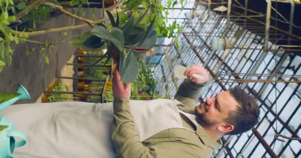 Dikey Görüntü Serada Çiçekleri Sulayan Genç Beyaz Adam Eko Hobi — Stok video