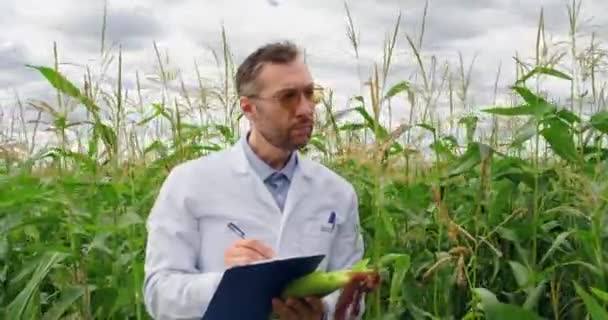 Genetiskt Modifierad Mat Som Lösning Hungerproblemet Agronomisk Forskare Glasögon Står — Stockvideo