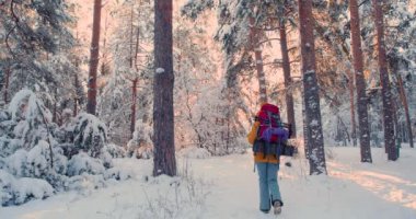 Karla kaplı bir ormanda yürüyen bir kadın turistin videosu. Kış yürüyüşü. Arkadan bak. 4k ağır çekim.