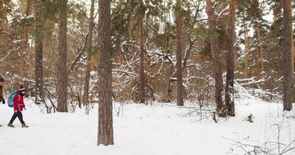 Foto Seorang Ayah Dan Anak Berjalan Sepanjang Hutan Tertutup Salju — Stok Video
