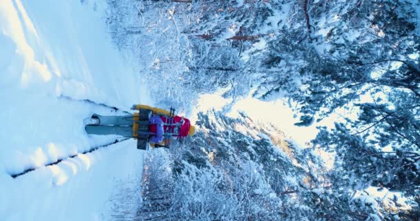 Vertikální Video Turistky Kráčející Zasněžené Železnici Lese Zimní Turistika Zadní — Stock video