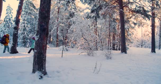 Женщины Туристы Идут Заснеженному Лесу Зимние Походы Slow Motion Film — стоковое видео