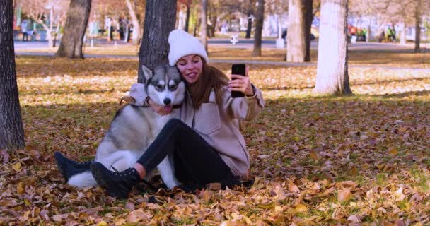 Una Mujer Joven Durante Videollamada Línea Mientras Abraza Husky Tendencias — Vídeo de stock