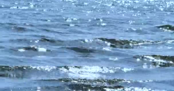 Sular Yükseldiğinde Kıyı Bölgesinde Küçük Dalgalar Sakin Rahatlatıcı Bir Arka — Stok video