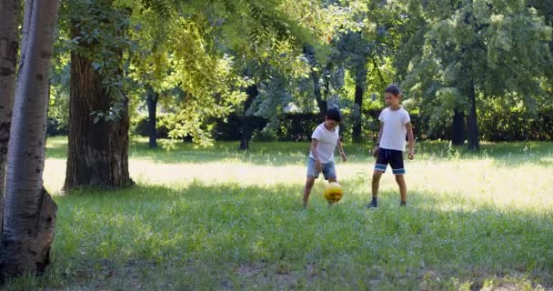 Dışarıda Top Oynayan Iki Asyalı Kardeş Çocuklar Dışarıda Oynuyorlar Sağlıklı — Stok video
