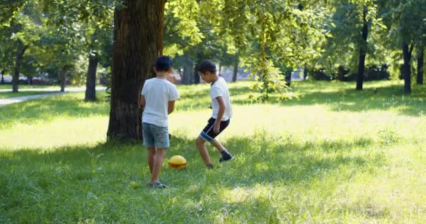 アジア系の兄弟2人が野球をしている 屋外で遊んでいる18人の少年 健康的なライフスタイルのコンセプト 4Kビデオ — ストック動画